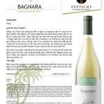 Rượu vang Due Palme Bagnara Salento  I.G.P 2021