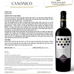 Rượu vang Ý Due Palme Canonico Salento I.G.P