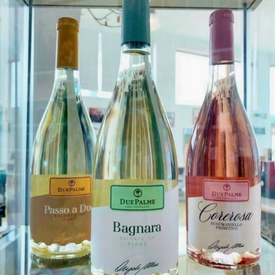 Rượu vang Due Palme Bagnara Salento  I.G.P 2021