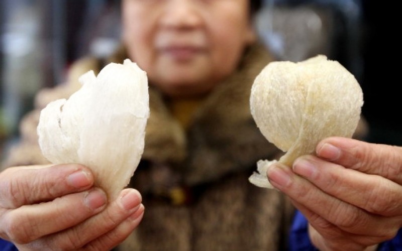 Cách phân biệt yển sào thật và yến sào giả