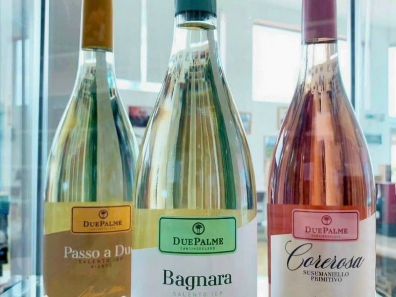 Rượu vang Due Palme Bagnara Salento  I.G.P 2021