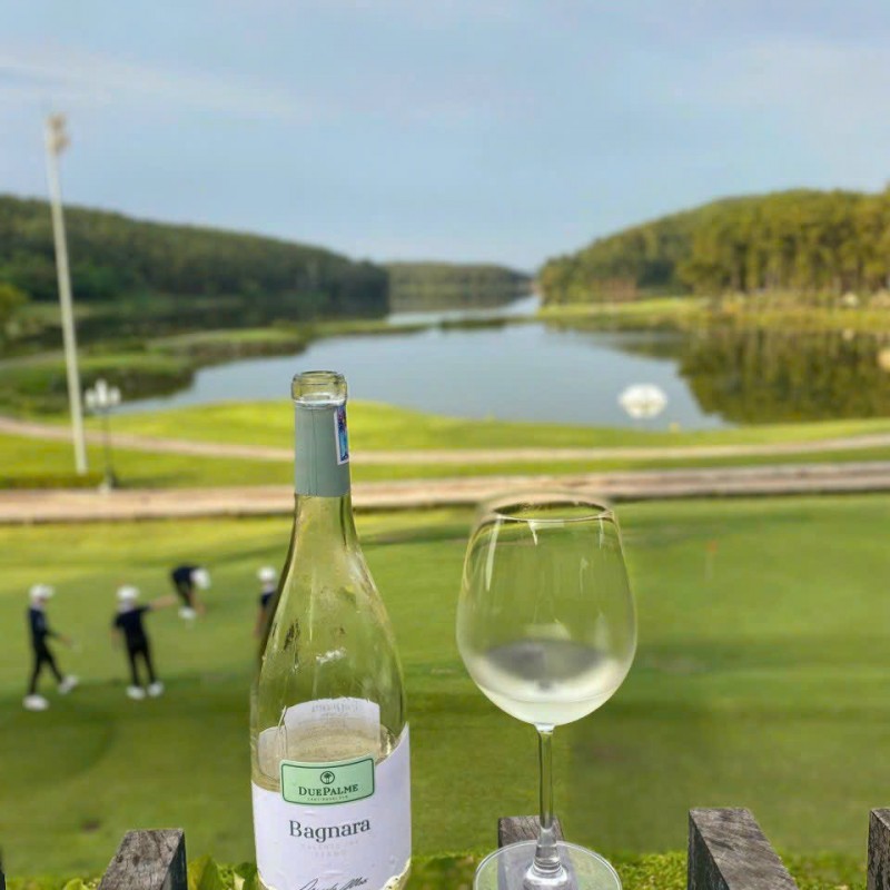 Rượu vang Due Palme Bagnara Salento  I.G.P 2021