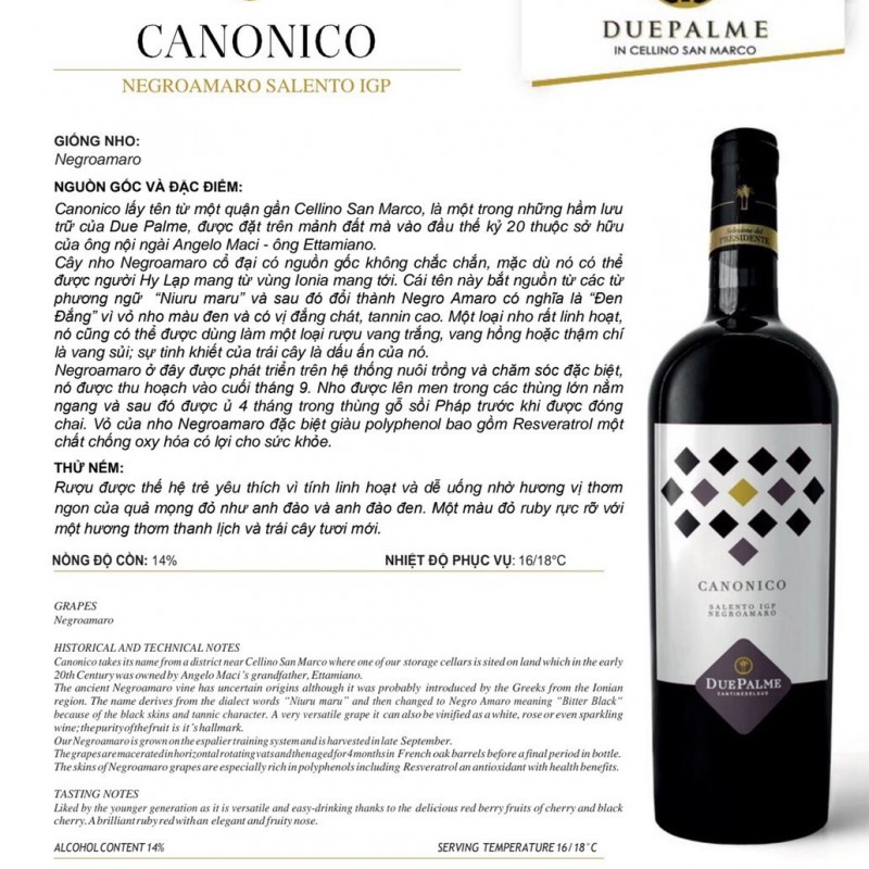 Rượu vang Ý Due Palme Canonico Salento I.G.P